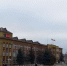 В Энгельсе на закупку новых деревьев и кустарников потратят более 2 млн рублей - SaratovNews.Ru