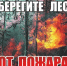 Саратовцам запретили ходить в лес в октябре этого года - Комсомольская правда