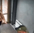 все42.jpg - Saratov24.TV