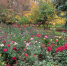В четверг в Саратове похолодает - ИА Взгляд-инфо
