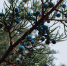 photo_2025-10-23_18-42-56 - Novosti-Saratova.Ru