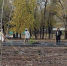 На территории нового онкодиспаснера в Саратове высадили деревья и кустарники - Общественное мнение