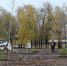 В Саратове на территории онкодиспансера высадили свыше 100 деревьев и кустарников - Четвертая Власть