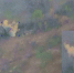 Прилет.jpg - Saratov24.TV