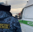 В Саратовской области мужчину оштрафовали за незаконную охоту на косулю - Общественное мнение