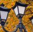 фонарь_осень - Novosti-Saratova.Ru