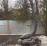 photo_2025-11-13_13-13-53 - Novosti-Saratova.Ru