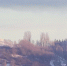 саратов_зима - Novosti-Saratova.Ru