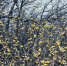 uhfhdbgueun9b6qeo7d4auf2kzegbnkt - Novosti-Saratova.Ru