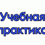 Учебная практика - Вавиловский университет