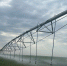 photo_2025-09-05_14-14-02 - Novosti-Saratova.Ru