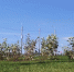 саратов - Novosti-Saratova.Ru