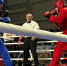Саратовец выиграл два мировых золота на чемпионате по универсальному бою - Четвертая Власть