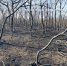 bc1489b3-b54b-49f6-bb16-3b00965c83e6 - Novosti-Saratova.Ru