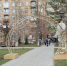 Фото СарБК - ИА СаратовБизнесКонсалтинг