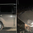 85591_1765003975_1_original - Novosti-Saratova.Ru