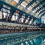 swim 2025 - Управление по физкультуре и спорту