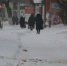 В Саратове от сильного ветра пострадали более двадцати социальных объектов - ИА Версия-Саратов