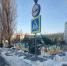 В Саратове на елочных базарах выявлены нарушения - Четвертая Власть