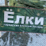 Елочный базар 12 2025 - Провинциальный телеграфъ