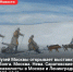 «Голубая роза» в Москве: на ВДНХ открыли выставку саратовских символистов - Комсомольская правда