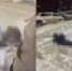 кп.jpg - Saratov24.TV