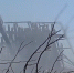 СВО.png - Saratov24.TV