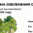 За 2025 год в Саратовской области высадили более 2,6 тысячи деревьев - Saratov24.TV