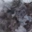 Освобождение села Братское.jpg - Saratov24.TV