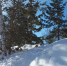 Такого снегопада Саратов не видел четыре года - Комсомольская правда