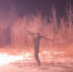 сво.png - Saratov24.TV