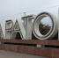 В  Саратове пройдёт  Первый Поволжский Масличный  форум - SaratovNews.Ru