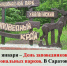 Библиотека №7. Презентация-онлайн «Национальный парк «Хвалынский»  (ко Дню заповедников и национальных парков) - ЦБС г. Саратова
