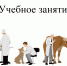 Будущие ветеринарные специалисты провели учебное обследование кролика - Вавиловский университет