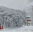 photo_2026-02-03_12-06-32 - Novosti-Saratova.Ru