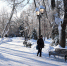 зима - Novosti-Saratova.Ru