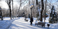 зима - Novosti-Saratova.Ru