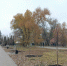 В Заводском районе Саратова начнется капитальный ремонт сквера Дружбы народов - Общественное мнение