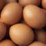 common-food-that-can-cause-allergic-reaction-people (1) (1) (2) (1) - Novosti-Saratova.Ru