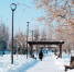 зима_саратов_снег_мороз - Novosti-Saratova.Ru