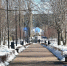 парк - Novosti-Saratova.Ru