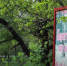 лес_пожар - Novosti-Saratova.Ru