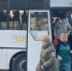 Саратовцы могут подтверждать льготный статус в автобусах при помощи цифрового ID - Четвертая Власть