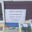 Библиотека №6 Подведение итогов конкурса рисунков «Зимняя природа в произведениях русских классиков». - ЦБС г. Саратова