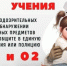 Учебная тренировка. - Вавиловский университет