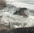 В Новоузенском районе талая вода перелилась через плотину - Четвертая Власть