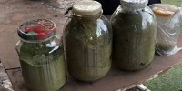 По Марксом местный житель хранил у себя более 2 кг марихуаны - ИА Взгляд-инфо
