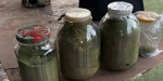 В Марксовском районе полицейские изъяли 2,5 кг наркотиков. Возбуждено дело