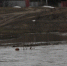 Большая вода. В Саратовской области под воду ушли две дороги и два моста - ИА Взгляд-инфо