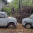 запорожец_автомобиль - Novosti-Saratova.Ru